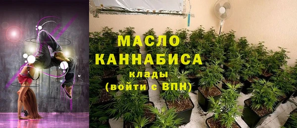 дмт Киреевск