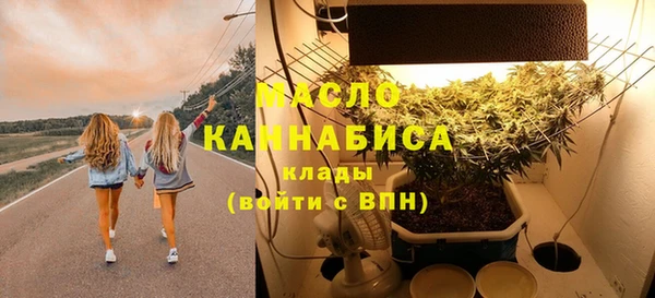 дмт Киреевск