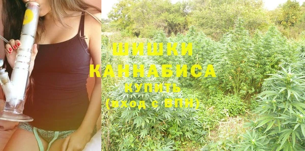 спиды Лагань