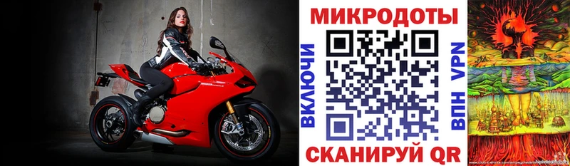 Псилоцибиновые грибы Psilocybine cubensis  Купить закладки  Бутурлиновка 